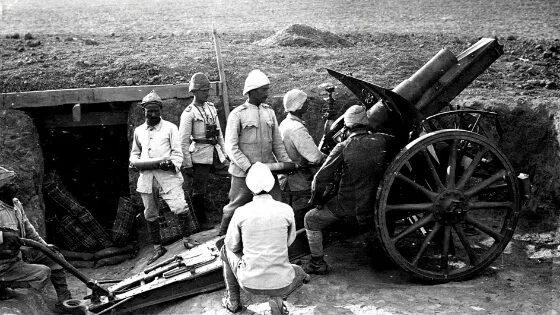 Birinci Dünya Savaşı Nedenleri ve Sonuçları (1914-1918)