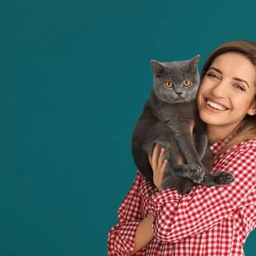 En Cok Sevilen Kedi Türleri 9