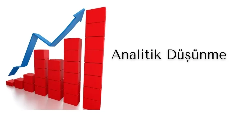 Analitik Düşünme