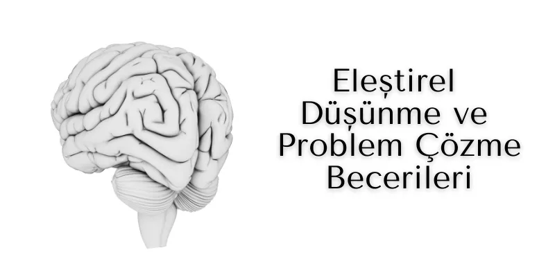 Eleştirel Düşünme ve Problem Çözme Becerileri