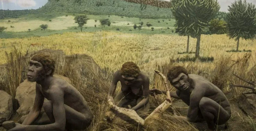 Tarihte Yaşamış Olan İlk İnsan Türleri Hangileridir?